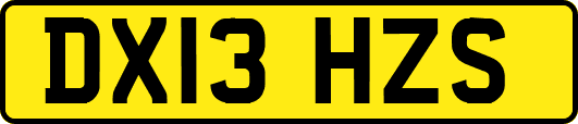 DX13HZS