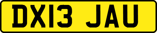 DX13JAU