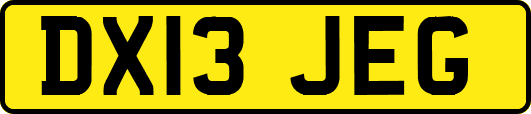 DX13JEG