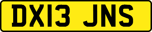 DX13JNS