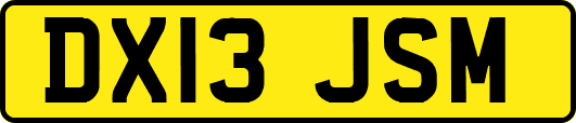 DX13JSM
