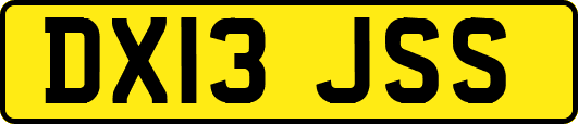 DX13JSS