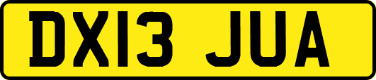 DX13JUA