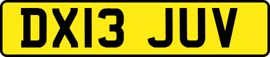 DX13JUV