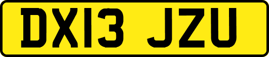 DX13JZU