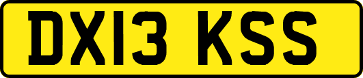 DX13KSS
