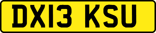 DX13KSU