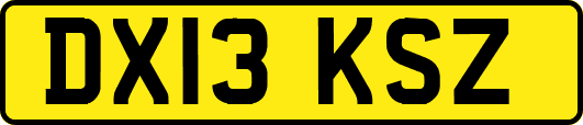 DX13KSZ