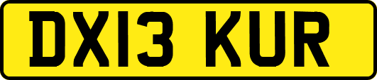 DX13KUR