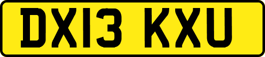 DX13KXU