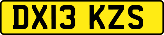 DX13KZS