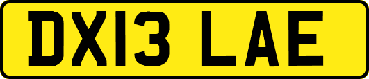 DX13LAE