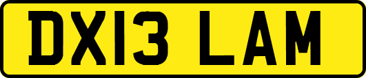 DX13LAM