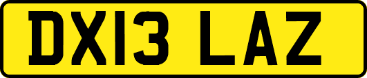 DX13LAZ
