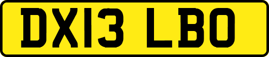 DX13LBO