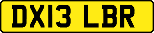 DX13LBR