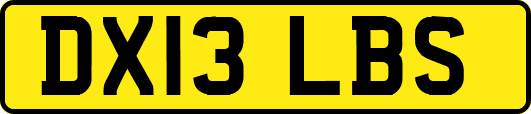 DX13LBS