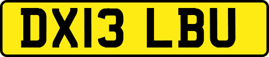 DX13LBU