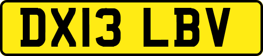 DX13LBV