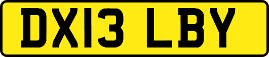 DX13LBY