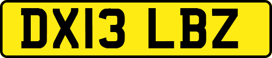 DX13LBZ