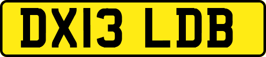 DX13LDB