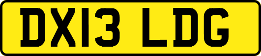 DX13LDG