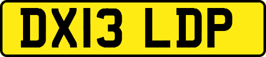 DX13LDP