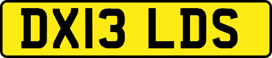 DX13LDS