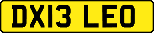 DX13LEO