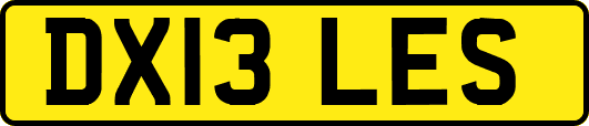 DX13LES