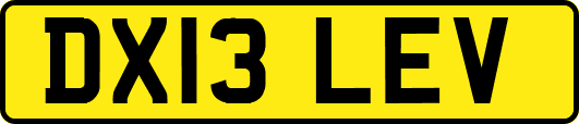 DX13LEV
