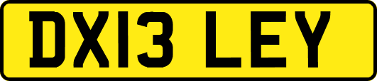 DX13LEY