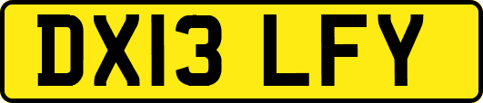 DX13LFY