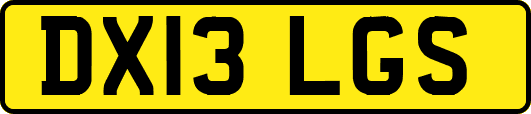 DX13LGS