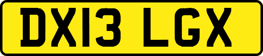 DX13LGX