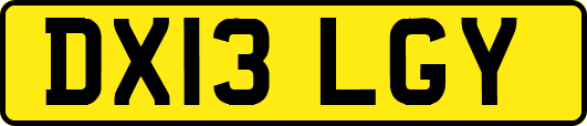 DX13LGY