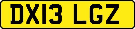 DX13LGZ