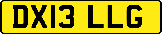 DX13LLG