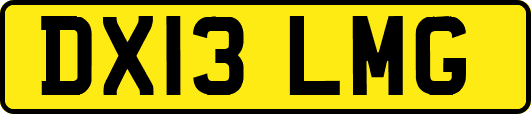 DX13LMG