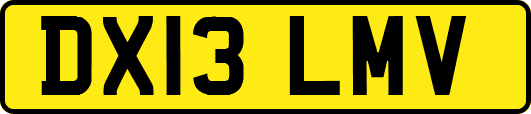 DX13LMV