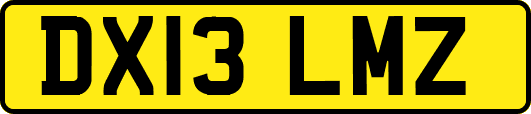 DX13LMZ