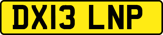 DX13LNP