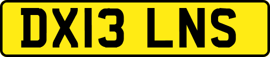 DX13LNS