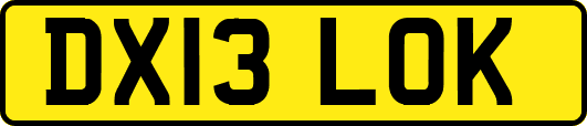 DX13LOK