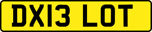 DX13LOT