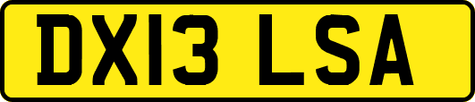 DX13LSA