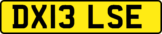 DX13LSE