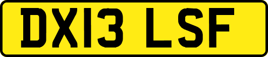 DX13LSF