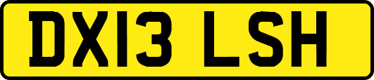 DX13LSH